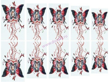 �����-������� B063.jpg