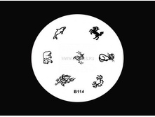 �����-������� B114.jpg