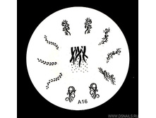 �����-������� � ����� A16.jpg