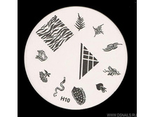 �����-������� � ����� H10.jpg