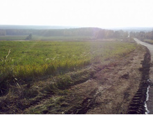 08102011034.jpg