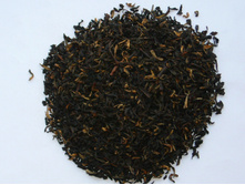 ����� ������ 159+%