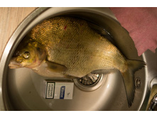 ������ ��������.jpg