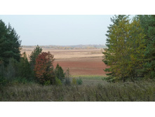 ��� �� �������