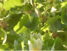 ����� ������������ ������