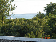 ��� �� ����. �������� � ���� ������������.