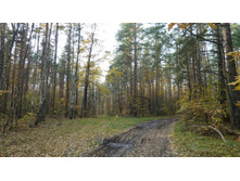 ��� - ���.296