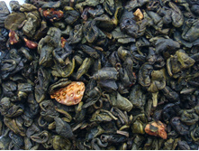 ��������� �� �������� ��� 59+%