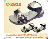 C-2810.jpg