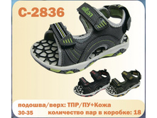 C-2836.jpg