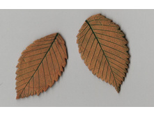 ������� (27).jpg