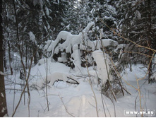 ������ ����������