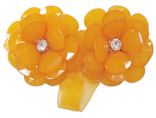orang.jpg