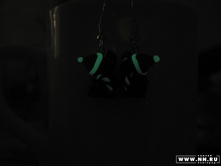 ������� ���������� � �������