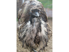 ��� ��� �����������!!.jpg