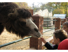 ����� ��� ��������.jpg