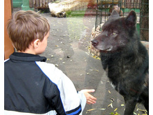 ����� � �����.jpg