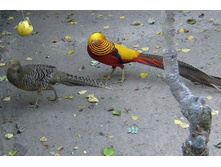 ��� �� �� �� ���....jpg