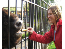 ������ ���))).jpg