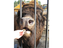 ����� �� ���.jpg