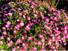 ����� � ����� �����.JPG