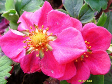 ��������� �����..JPG