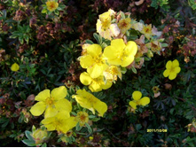 �������� ������.JPG