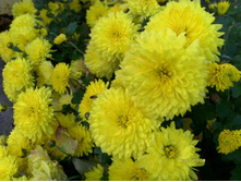 ���������� ������.JPG