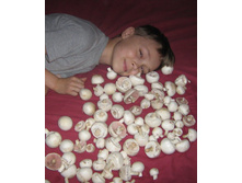 ������� ����.jpg