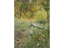 ��� ������ � ����� ������).jpg