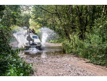 ������ 2012 