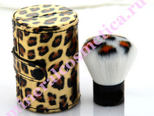 ���� ������ � �����.jpg