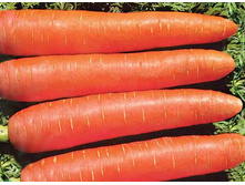 ������� ���������� 5,10 ���..jpg