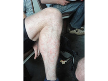 ������ ����� � ����)))