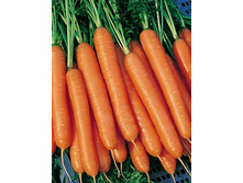 ������� ��������� 4,50 ���..jpg