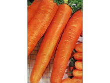 ������� ���������������� 13 5,40 ���..jpg