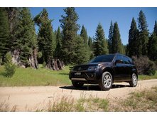 GrandVitara_AD_PHOTO_run_5.jpg