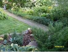 SDC18134.JPG