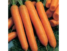 ������� ������� 15,95 ���..jpg