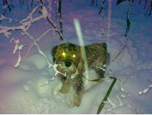 � ������ ����.