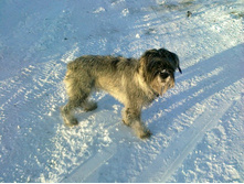 ����� � �������