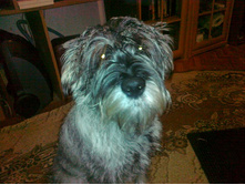 �������� ����� :)