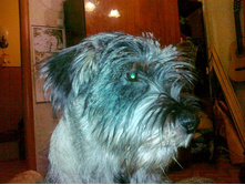 ���������� �������. 