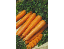 ������� �������� 5,60 ���..jpg