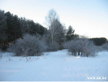 ������ ������