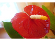 �������� ������� ��������.JPG