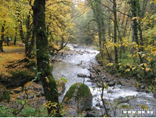 ������, �����.