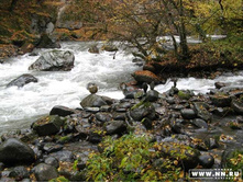 ������, �����.