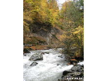 ������, �����.