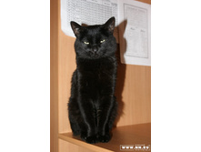 ��� �� �